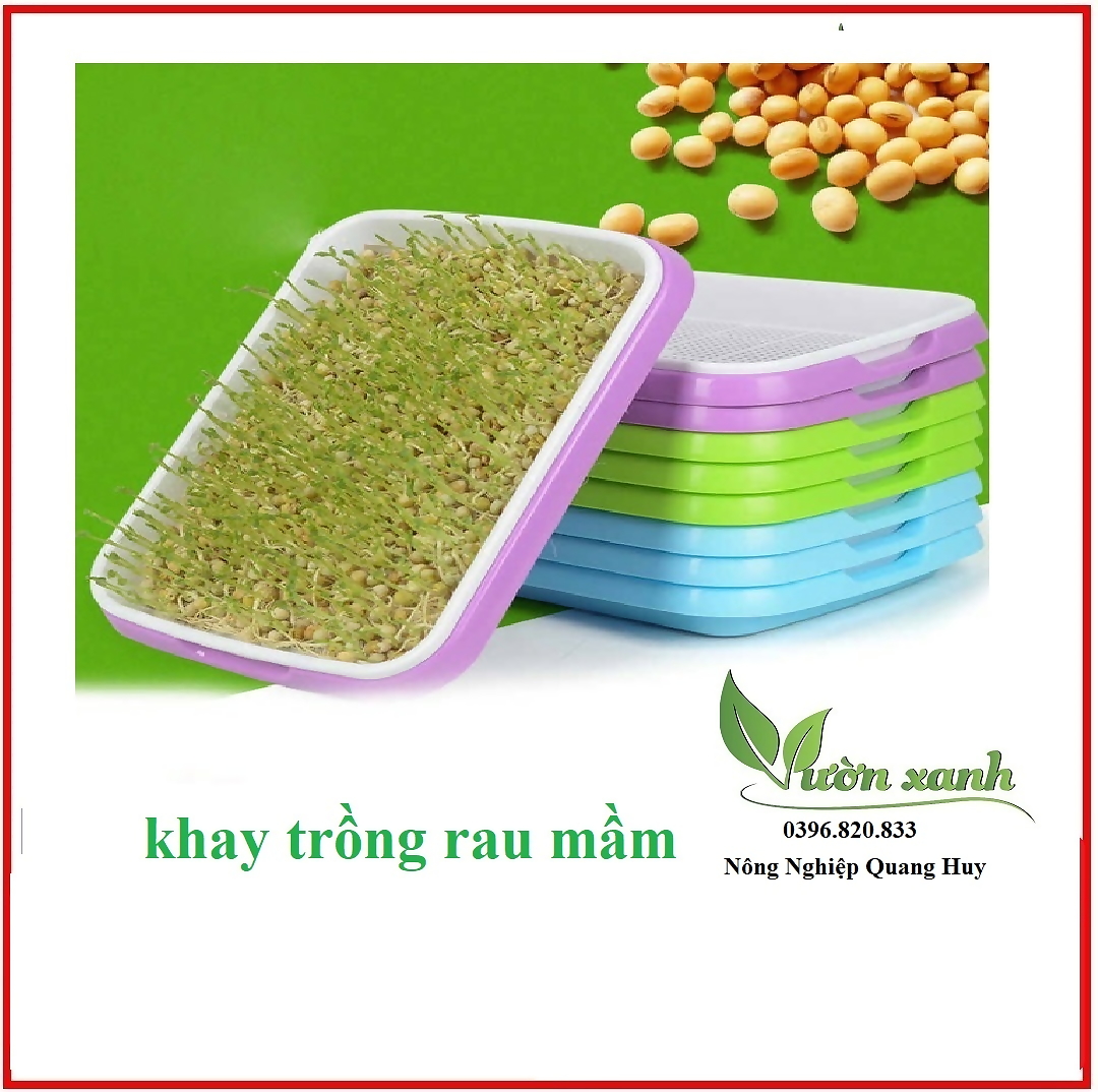Khay trồng rau mầm chuyên dụng, giá trồng rau mầm tiện lợi, sạch sẽ